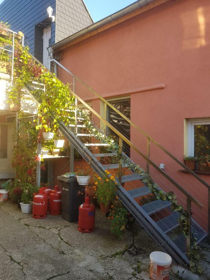 Pension Im Glueck Thale Kültér fotó
